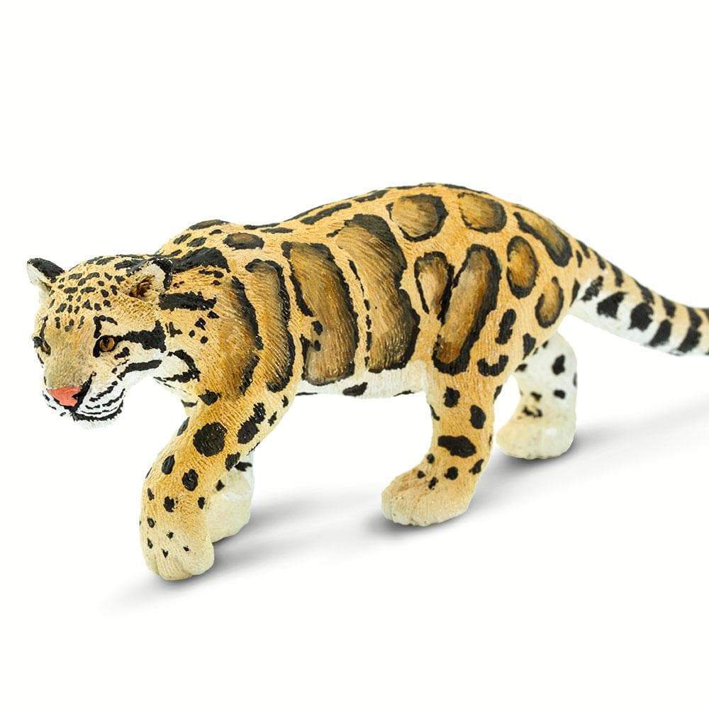 ウンピョウ 頭骨標本 精密レプリカ ネコ科 Clouded Leopard 牙-